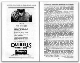 1953 Page 080 081